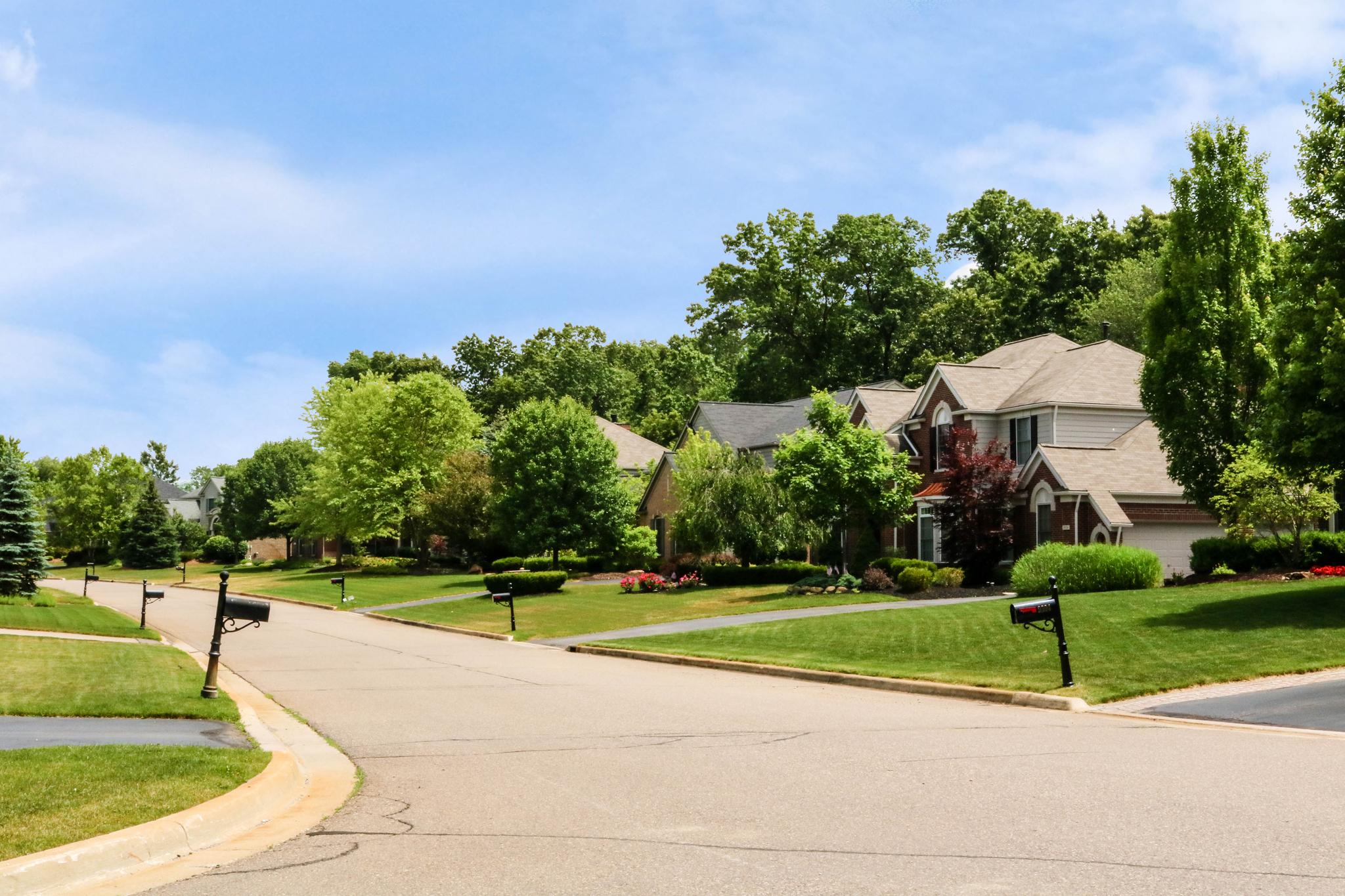 Tree-lined street in Dominion