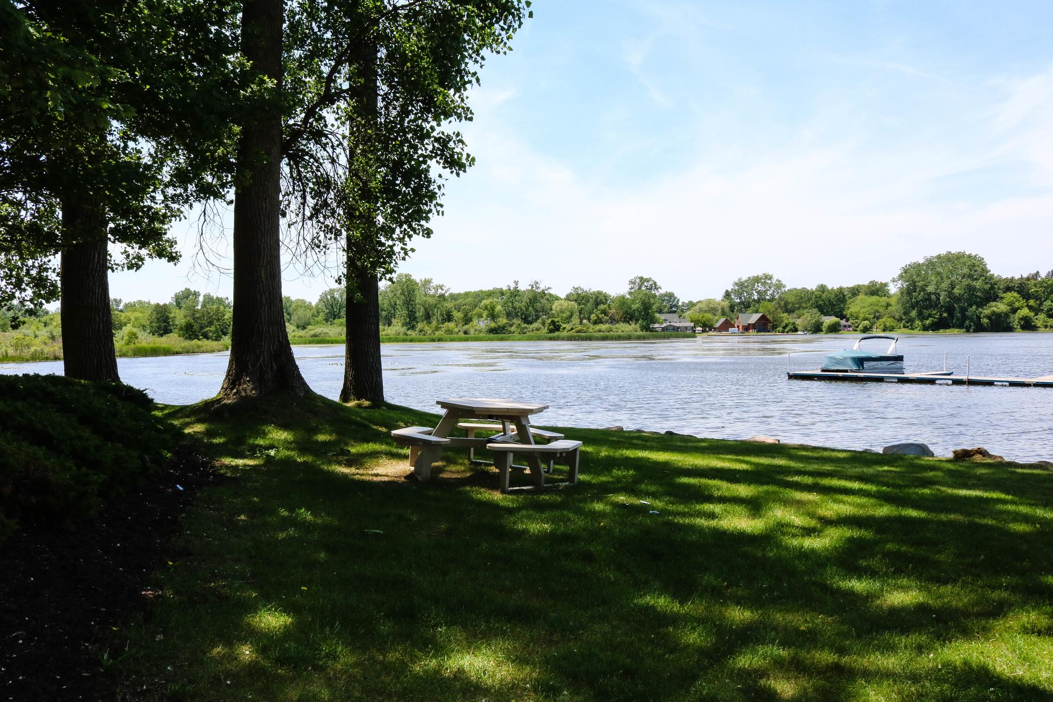 Howell Michigan Lakefront Neighborhood