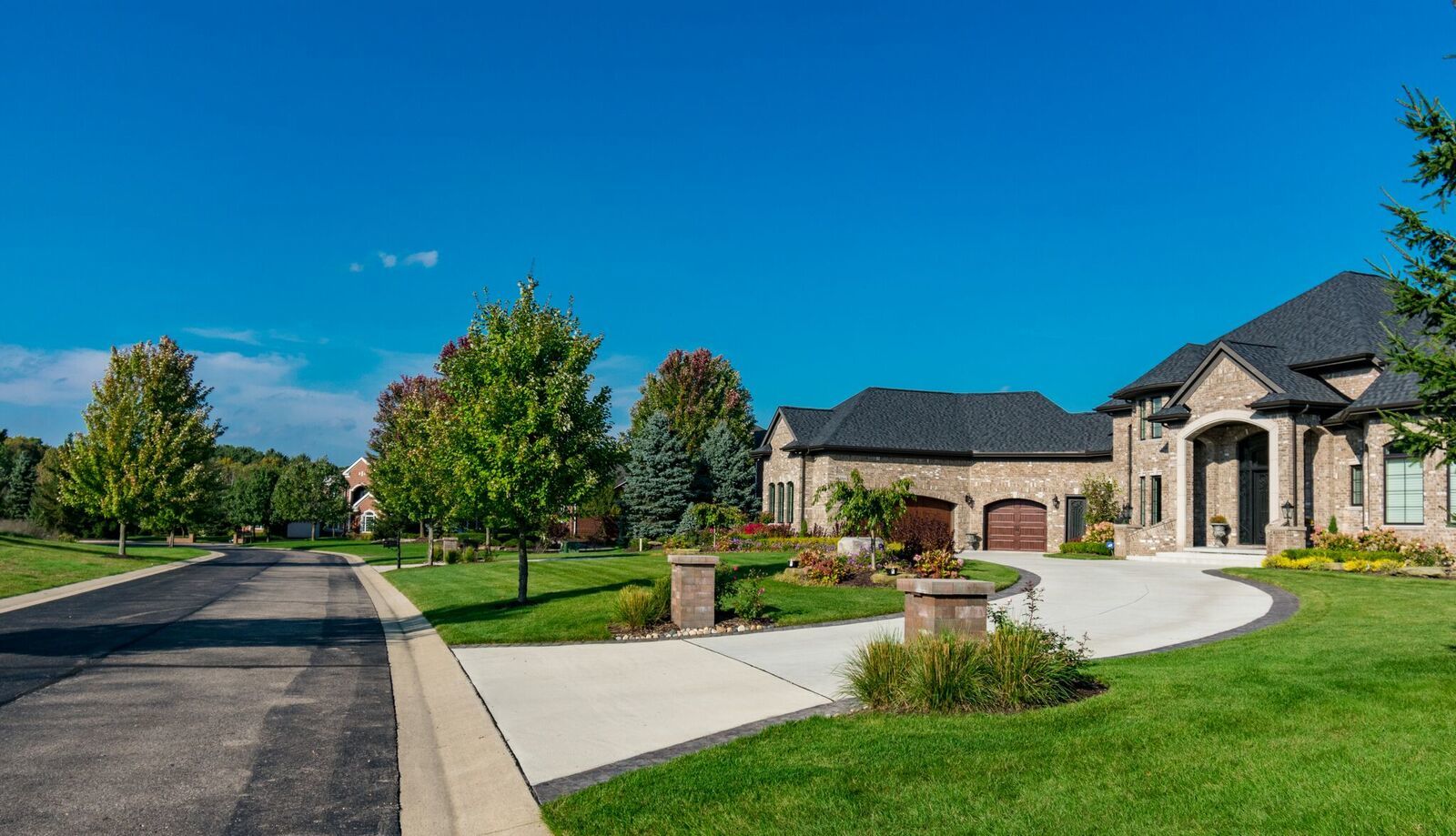 Tree lined street of homes in the Preserve at Maple Lake